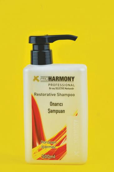X Pro Harmony Yıpranmış Saçlar için Onarıcı Şampuan 500 ml